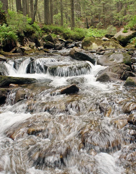 Bergbeek — Stockfoto