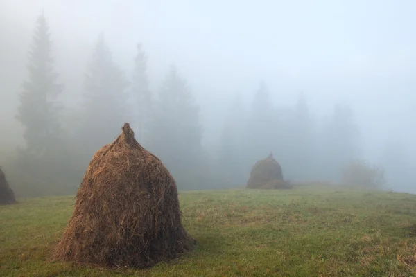 Haystacks, mattina nebbiosa — Foto Stock