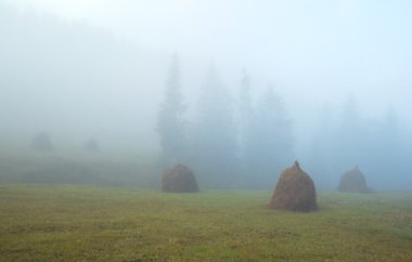 haystacks, Puslu sabah