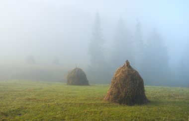 haystacks, Puslu sabah