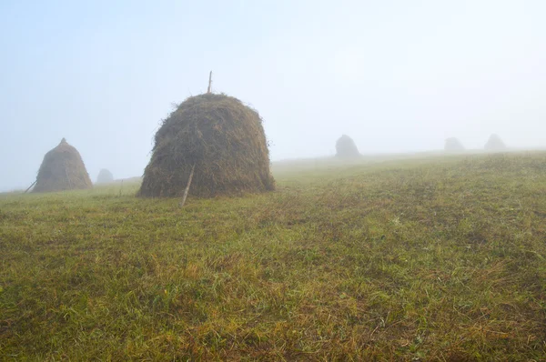 Haystacks, misty morning — Stock Photo, Image