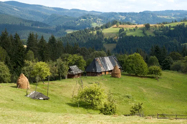 Montagnes d'été — Photo