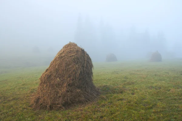 干し草の山、霧のかかった朝 — ストック写真