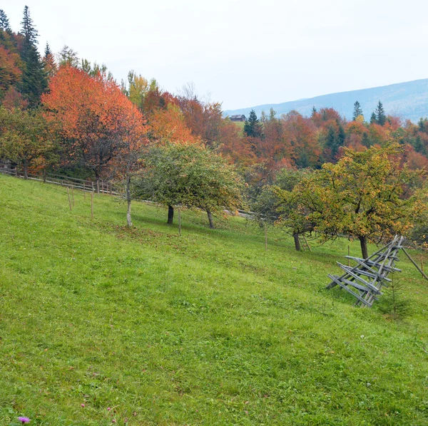 Осенний сад — стоковое фото