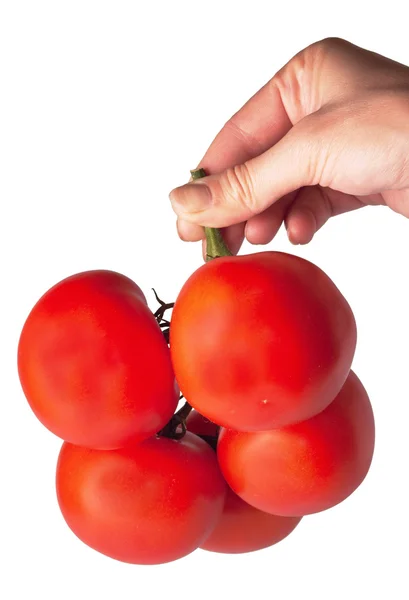 Tomater gäng i hand — Stockfoto
