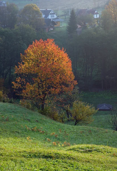 Autumn morning — Stock Photo, Image