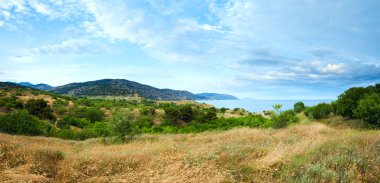 Yaz kıyı şeridi panorama (Kırım, Ukrayna)