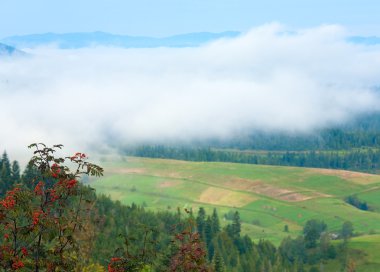 Cloudy Carpathian mountain