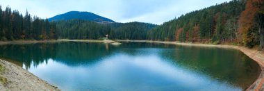 Autumn Synevir mountain lake panorama clipart
