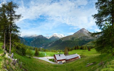 Alpler yaz ülke panorama (Avusturya).