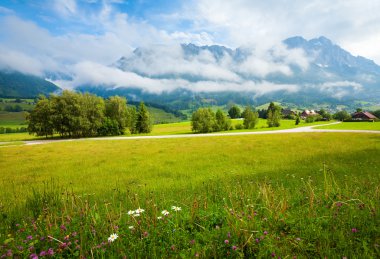 Alps meadow summer view clipart