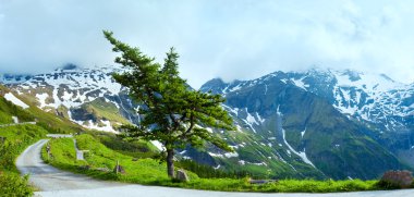 Alpler yaz panoraması (Avusturya).