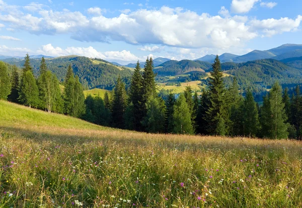 Sommerliche Berglandschaft — Stockfoto