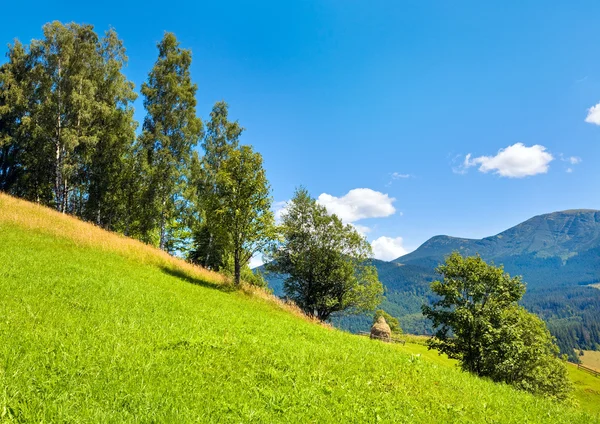 Letní horská krajina — Stock fotografie