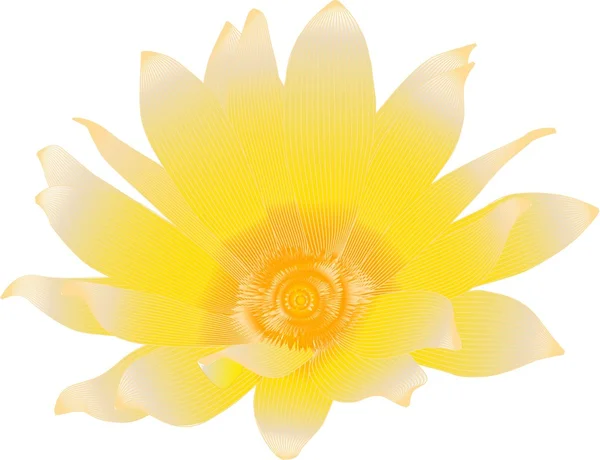 黄色の花 — ストックベクタ