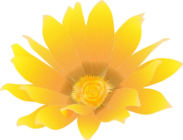 Yellow-orange flower — Stockvector