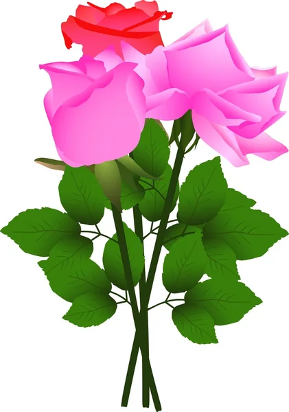 Rose Bouquet — Stock Vector