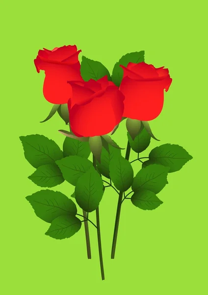 玫瑰花束 — 图库矢量图片