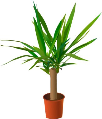 Window plant clipart