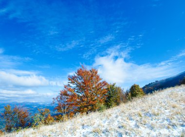 First winter snow and autumn colorful foliage on mountainside clipart
