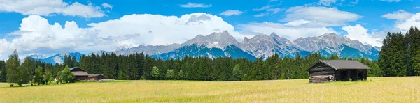 Panorama de verão dos Alpes (Áustria ). — Fotografia de Stock