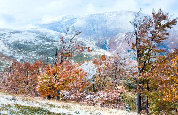 Primera nieve de invierno y follaje colorido otoño en la montaña —  Fotos de Stock
