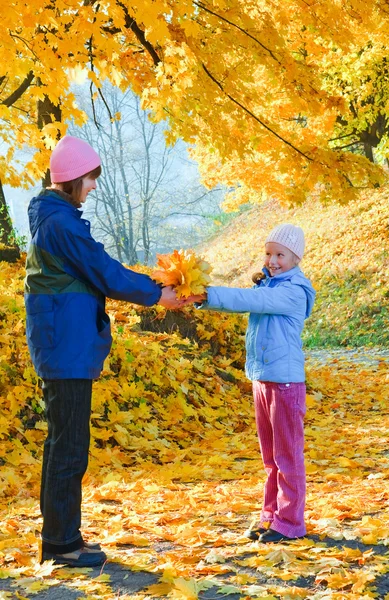 Family in autumn maple park — Stock Photo, Image