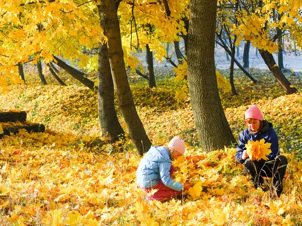 家庭在秋天枫叶园 — 图库照片