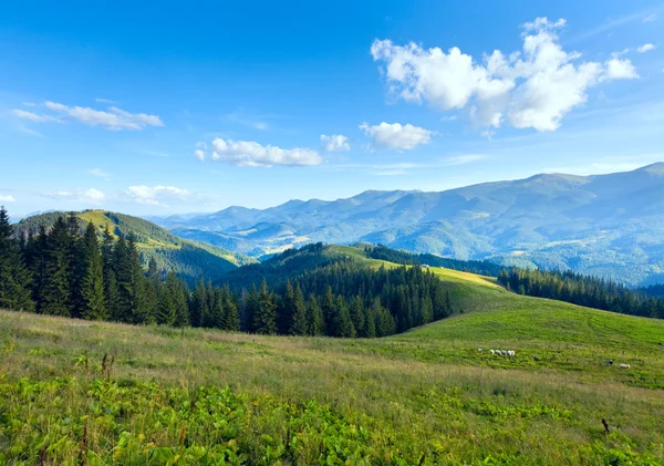 夏の山の高原の風景 — ストック写真