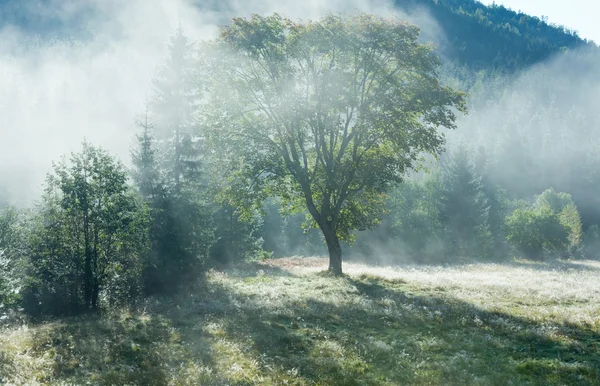 朝の霧深い秋山の風景 — ストック写真