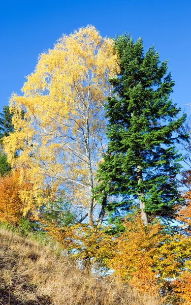 Herbstlicher Nimtschitsch-Pass — Stockfoto