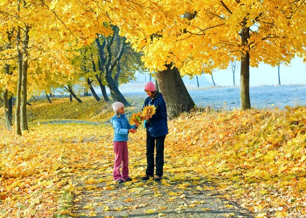 Famille dans le parc d'érable d'automne — Photo