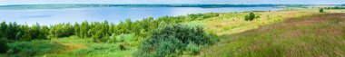 Summer lake panorama clipart