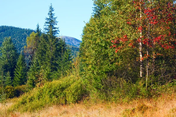 Matin brumeux automne paysage de montagne — Photo