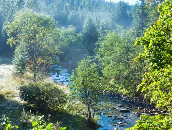 Reggel őszi mountain river. — Stock Fotó