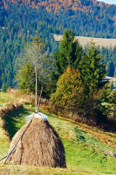Осінній гірському селі (Карпатський, Україна). — стокове фото