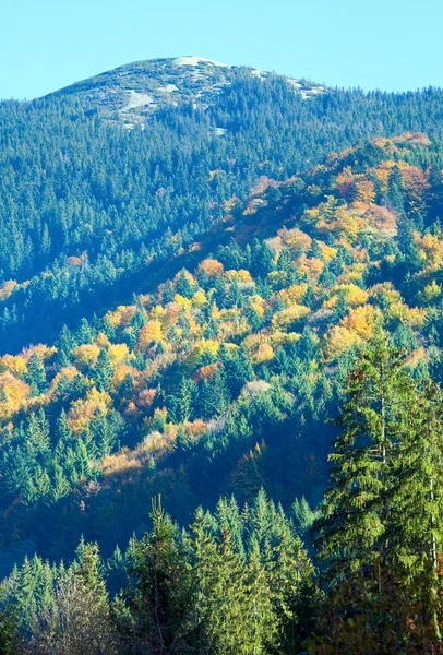 Őszi hegyi erdő — Stock Fotó