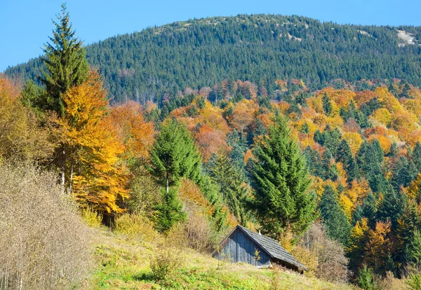 秋の山の森林 — ストック写真