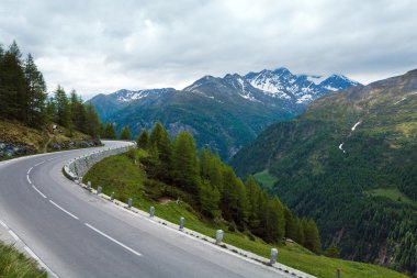 Alps summer view clipart