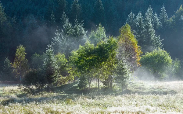 Mattina nebbioso autunno paesaggio montano — Foto Stock