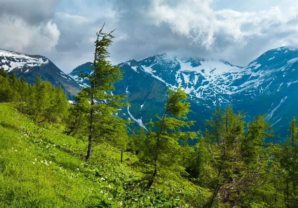 Alpes vista de verão — Fotografia de Stock