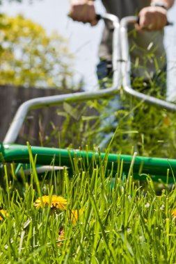 Mowing the lawn in spring clipart