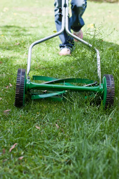 芝生を刈る — ストック写真