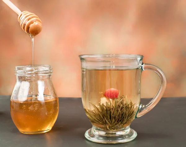 Квітка зелений чай — стокове фото