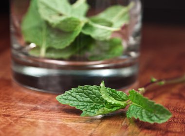 Fresh mint in a glass clipart