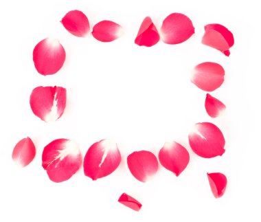 Rose petals clipart