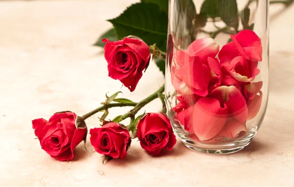 Rosenblätter im Glas — Stockfoto
