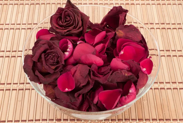 Dead roses in a bowl — Stock Photo, Image