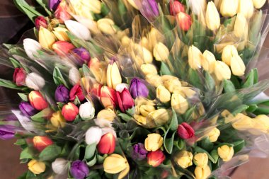 Tulips in a bunch clipart