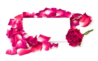 Dried Rose Background clipart